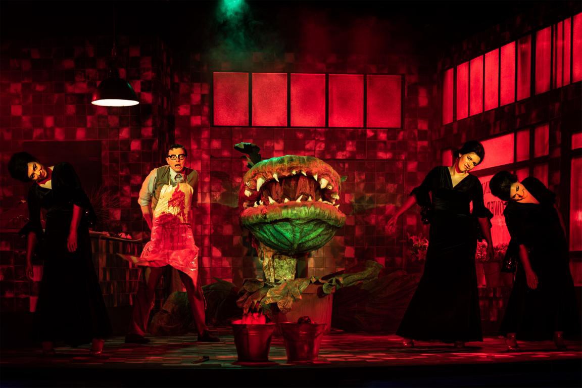 Vera-Cosima Gutmann (Ronette), Sven Zinkan (Seymour), Clemens Kersten (Die Pflanze), Sonja Geiger (Chiffon), Helena Lenn (Crystal) © Nasser Hashemi